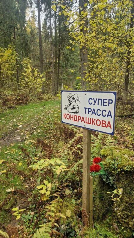 Трасса лыжная ГАБО, состояние на 11 октября 2026 по отзыву, фото 3. 