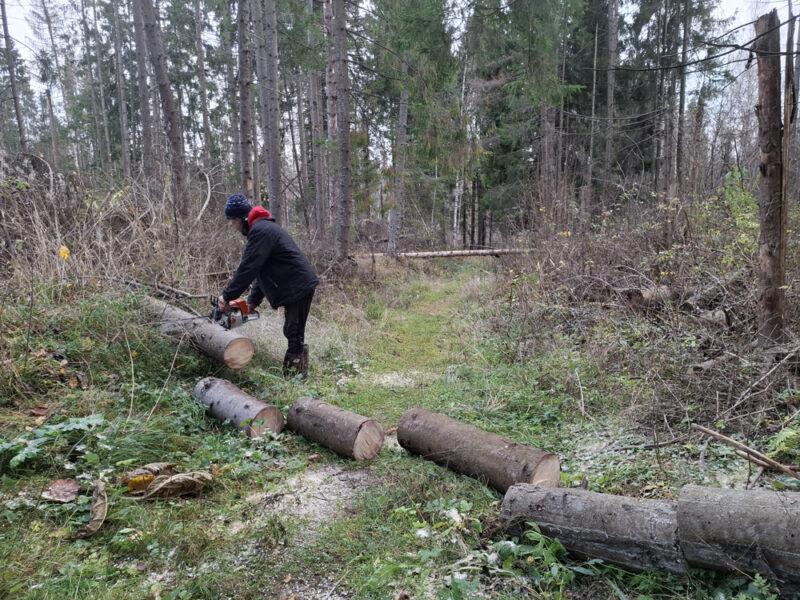 Трасса лыжная ГАБО, состояние на 23 октября 2026 по отзыву, фото 5. 